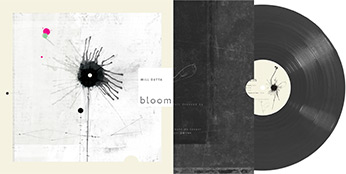 Bloom download thumbnail